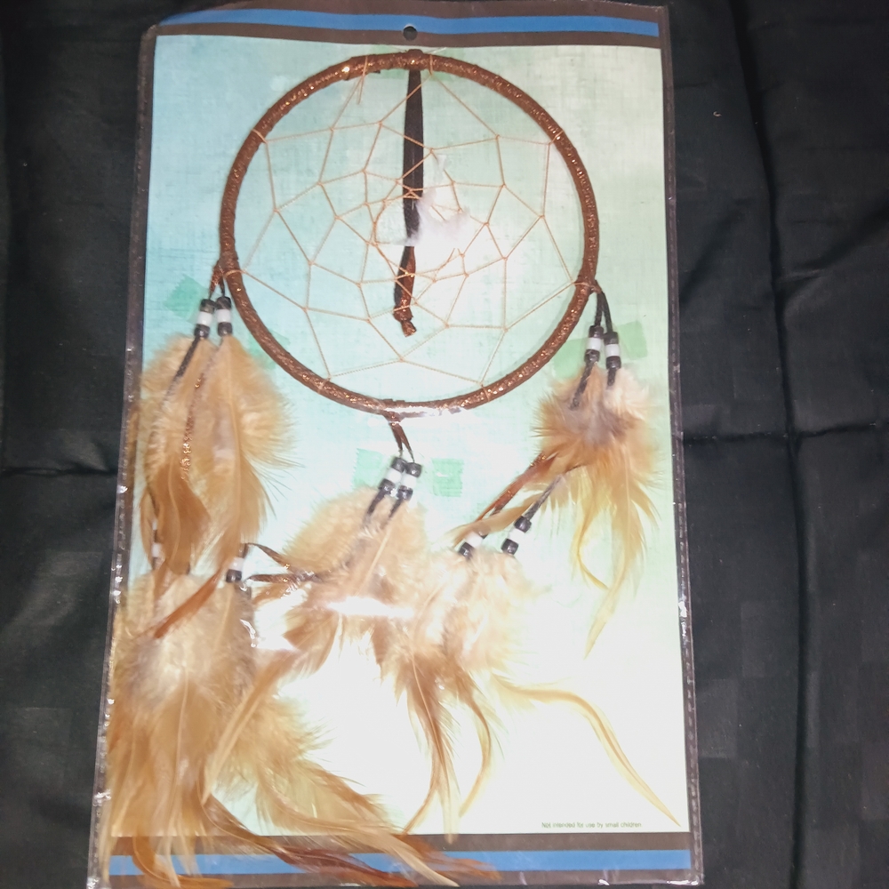 Boho Feather Dreamcatcher Wall Hanging - Tan & Brown
